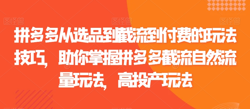 拼多多从选品到截流到付费的玩法技巧，助你掌握拼多多截流自然流量玩法，高投产玩法-福喜网创