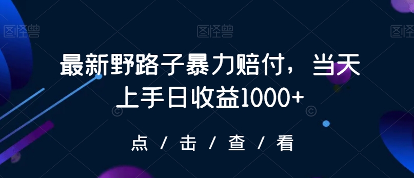 最新野路子暴力赔付，当天上手日收益1000+【仅揭秘】-福喜网创