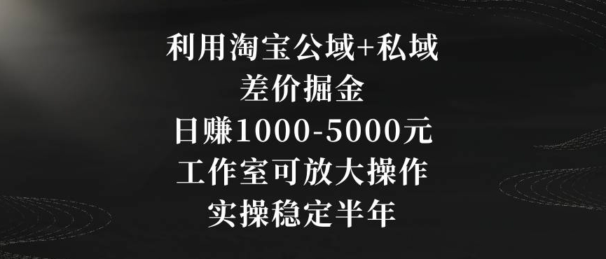 利用淘宝公域+私域差价掘金，日赚1000-5000元，工作室可放大操作，实操稳定半年【揭秘】-福喜网创