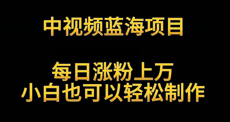 中视频蓝海项目，解读英雄人物生平，每日涨粉上万，小白也可以轻松制作，月入过万不是梦【揭秘】-福喜网创