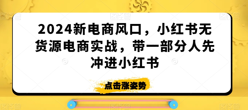 2024新电商风口，小红书无货源电商实战，带一部分人先冲进小红书-福喜网创