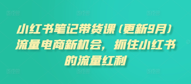 小红书笔记带货课(更新25年1月)流量电商新机会，抓住小红书的流量红利-福喜网创