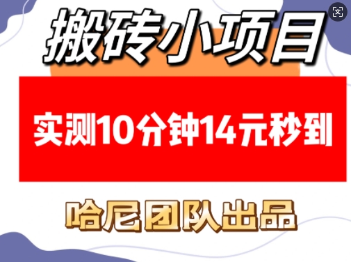 搬砖小项目，实测10分钟14元秒到，每天稳定几张(赠送必看稳定)-福喜网创