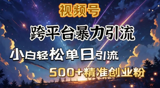 跨平台暴力引流，私域完美闭环，日引500+精准创业粉-福喜网创