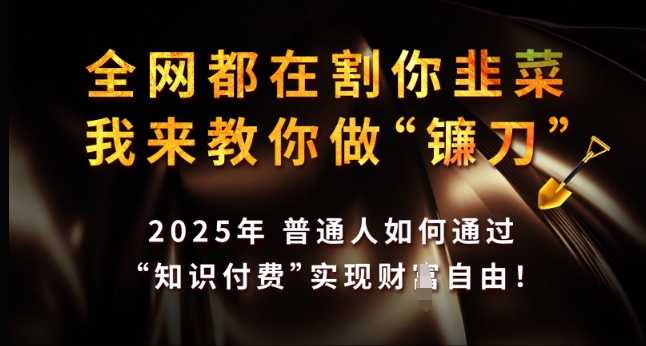 全网都在割你韭菜，我来教你做镰刀，2025年普通人如何通过 知识付费 实现财F自由【揭秘】-福喜网创