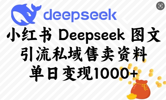 小红书Deepseek图文引流私域售卖资料，单日变现多张-福喜网创