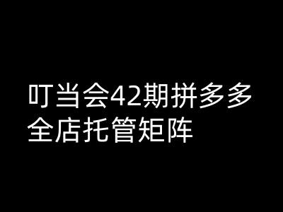 叮当会拼多多打爆班原创高阶技术第42期，拼多多全店托管矩阵-福喜网创