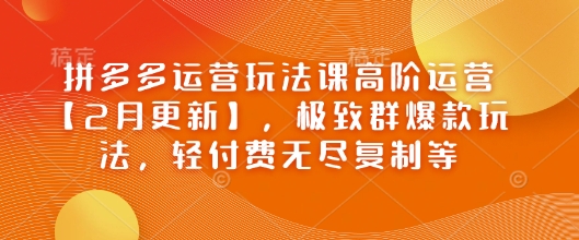 拼多多运营玩法课高阶运营【2月更新】，极致群爆款玩法，轻付费无尽复制等-福喜网创