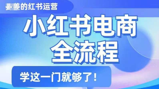 小红书电商全流程，精简易懂，从入门到精通，学这一门就够了-福喜网创