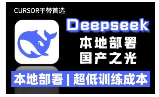 2025年deepseek R1 大型模型本地安装部署(文件+教程)本地部署，超低训练成本-福喜网创