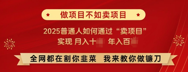 必看，做项目不如卖项目，2025普通人如何通过“卖项目”实现月入十个，年入百个-福喜网创