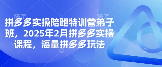 拼多多实操陪跑特训营弟子班，2025年2月拼多多实操课程，海量拼多多玩法-福喜网创