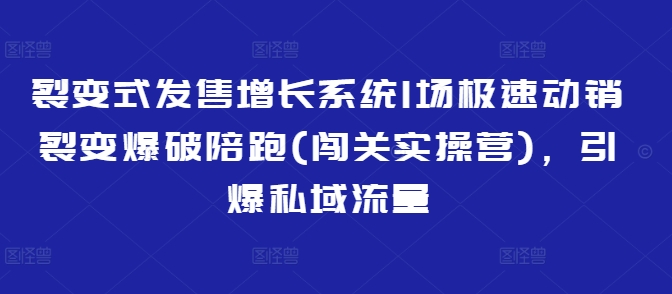 裂变式发售增长系统1场极速动销裂变爆破陪跑(闯关实操营)，引爆私域流量-福喜网创