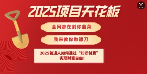 2025项目天花板普通人如何通过知识付费，实现财F自由【揭秘】-福喜网创