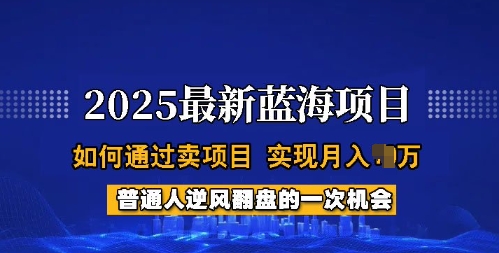 2025蓝海项目，普通人如何通过卖项目，实现月入过W，全过程【揭秘】-福喜网创