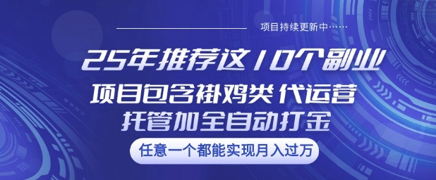 25年推荐这10个副业项目包含褂鸡类、代运营托管类、全自动打金类【揭秘】-福喜网创