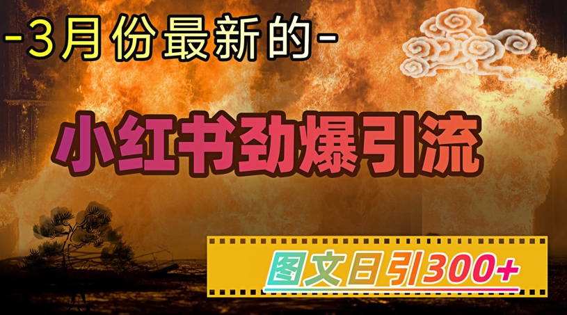 小红书超劲爆引流手段，图文日引300+轻松变现1W-福喜网创